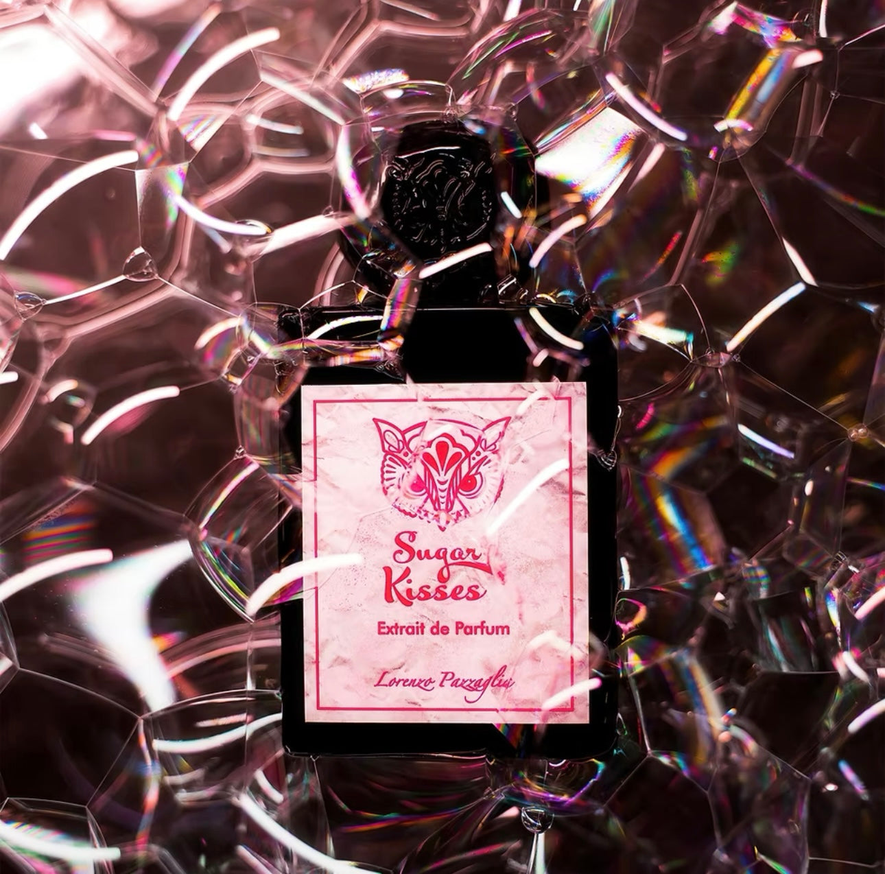 Lorenzo Pazzaglia Sugar Kisses