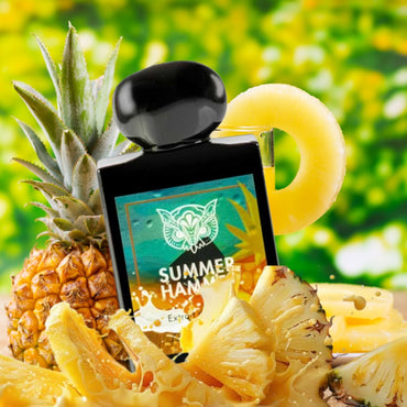 Lorenzo Pazzaglia Summer Hammer
