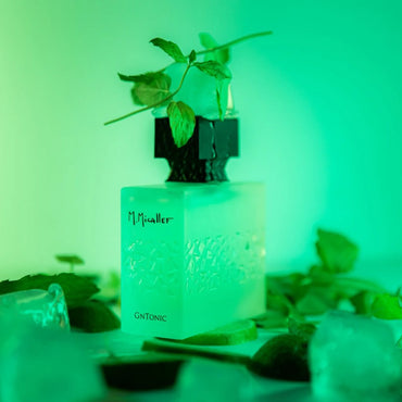 M.Micallef Gntonic