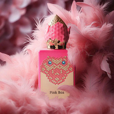 Stephane Humbert Lucas Pink Boa